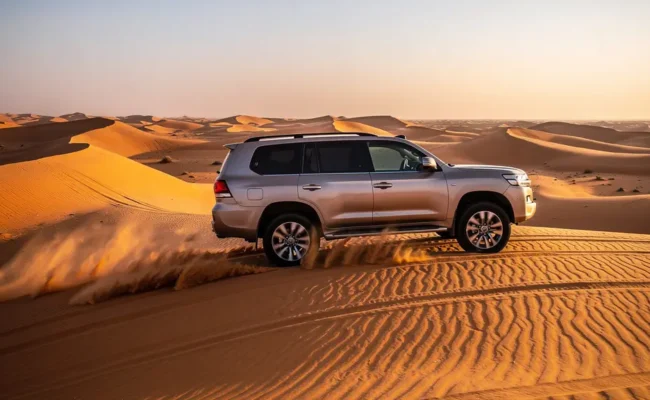Private dune bashing experience in the desert safari