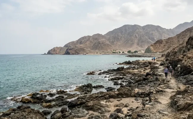 Fujairah East Coast Tour beach and coastline view