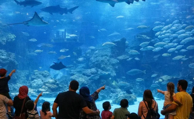 Visitors watching marine life at Dubai Aquarium and Underwater Zoo